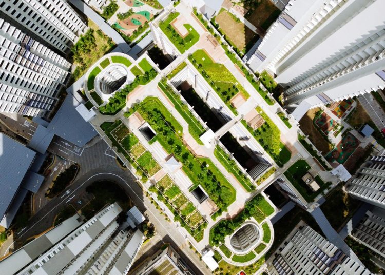 Top of a skysraper with a living roof