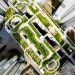 Top of a skysraper with a living roof